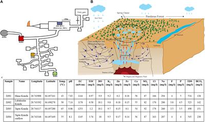 Bacterial Diversity and CAZyme Potential Revealed in Pandanus Rich Thermal Spring Cluster of India: A Non-cultivable 16S rRNA Sequencing Approach